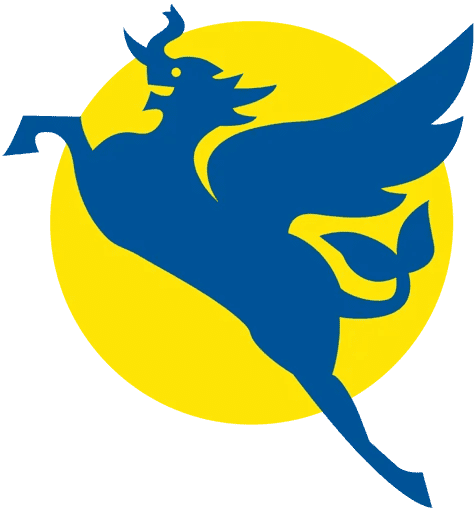 Myanmar Airways International