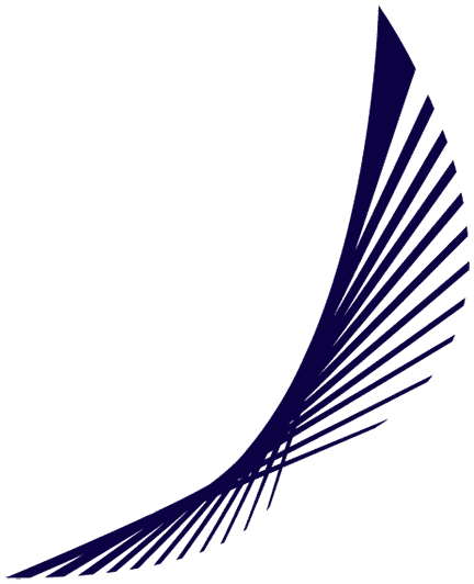 Blue Panorama Airlines