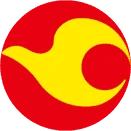 Tianjin Airlines